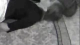 پتلی کشور اس سکس پاکستانی پشتو کشش بلی مشنری پوزیشن میں